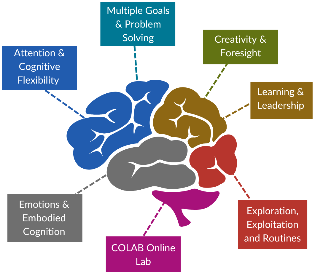 Brain and categories