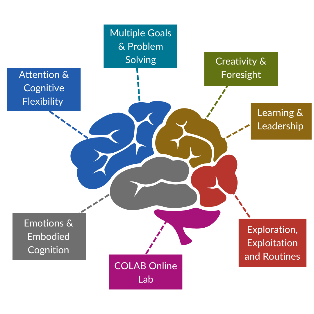 Brain and categories